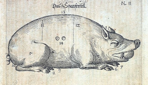 schwein